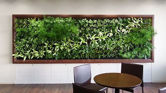 壁面緑化・ミドリエ Green Wall