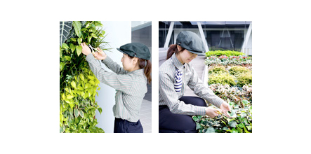 植物の取替えが簡単