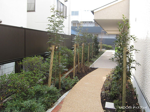 集合住宅への造園施工