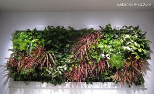 アイポイントを作りデザイン性を高めた壁面緑化