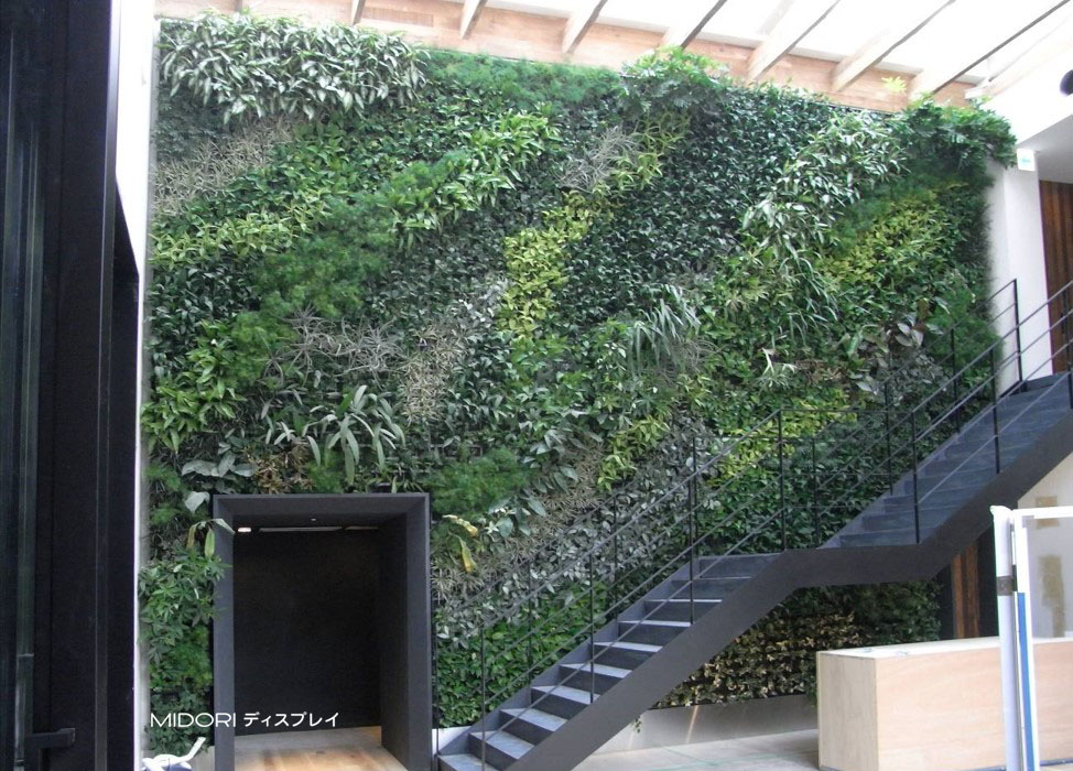 植物の大きさの違いで魅せる壁面緑化