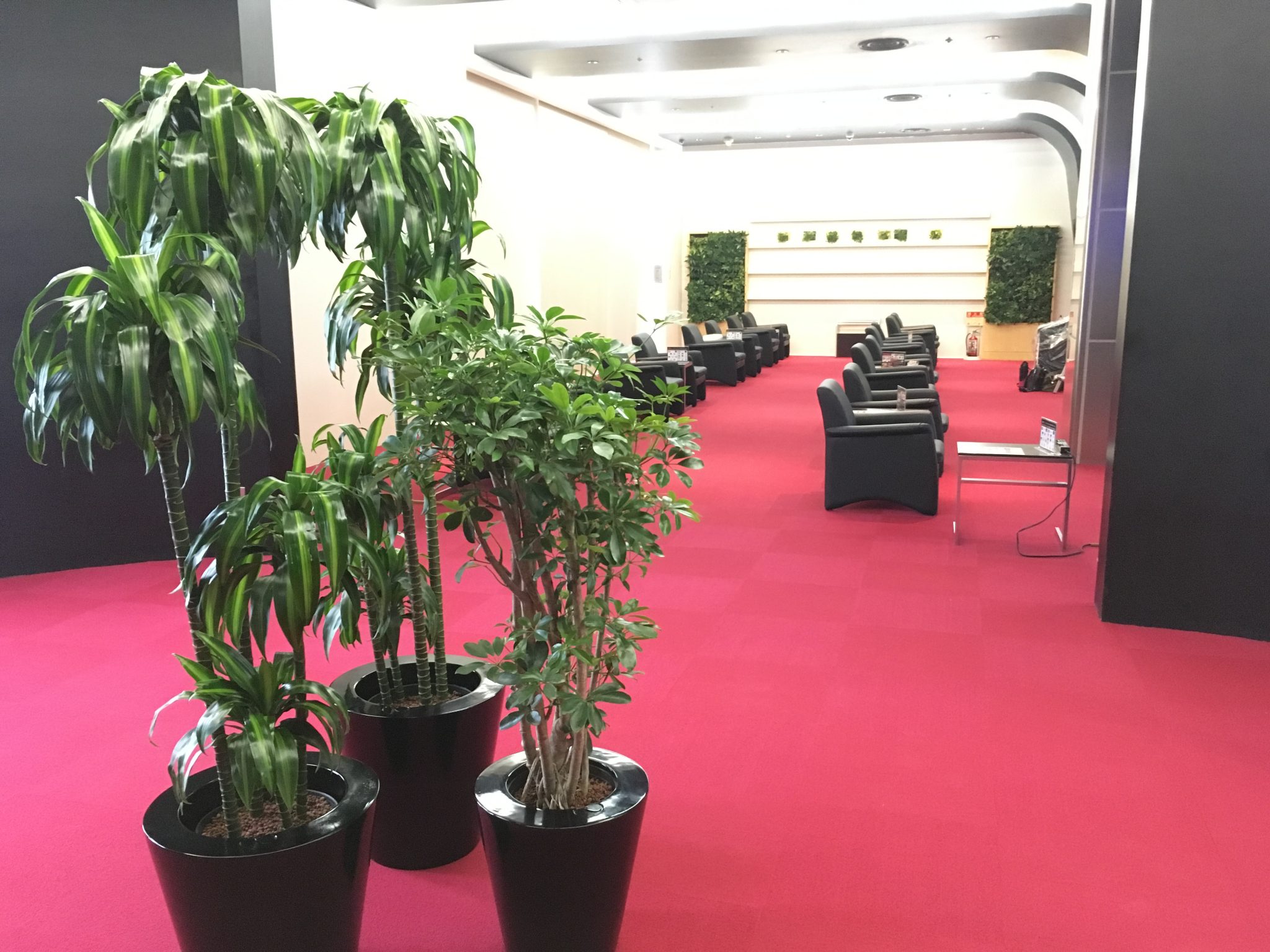 アミューズメント施設への観葉植物レンタル