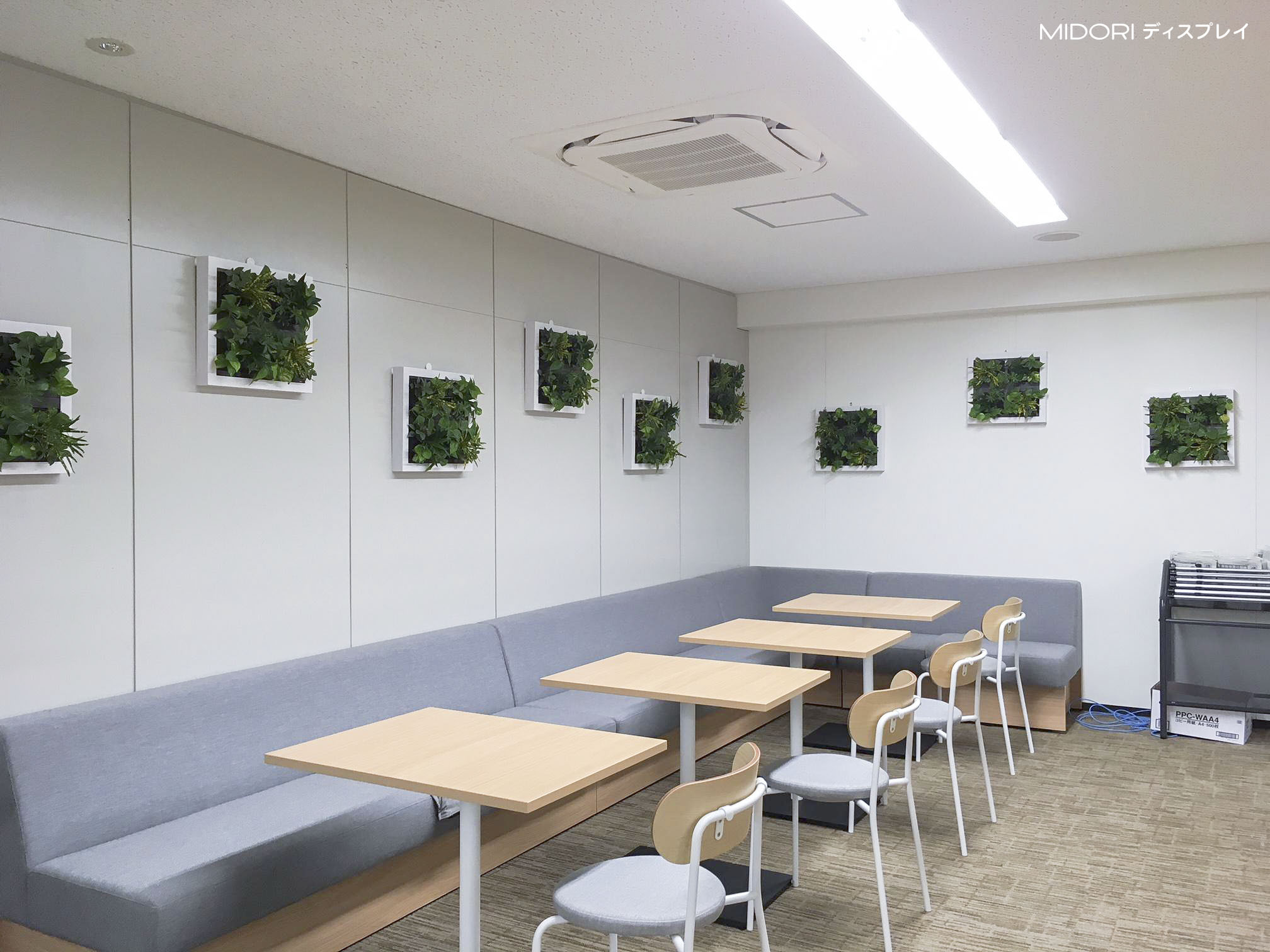 大阪市内オフィスフロアに壁面緑化