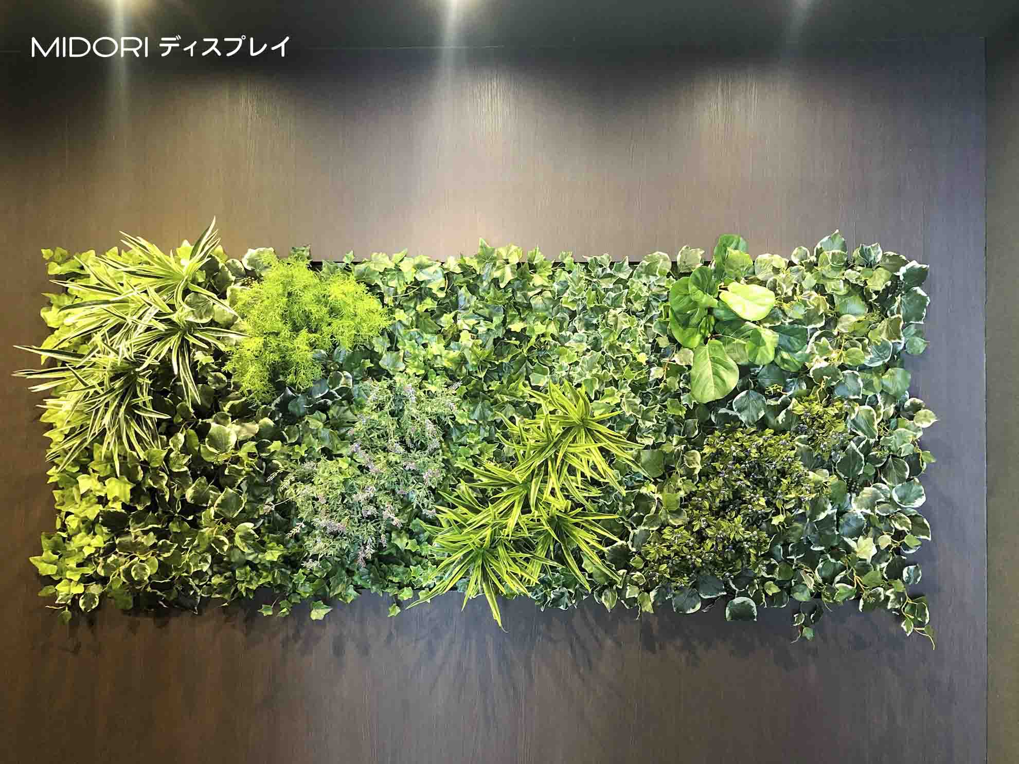 マンションギャラリーエントランスにウェルカムグリーン